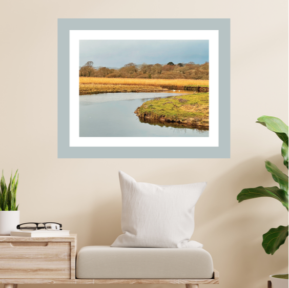 Madderly Moor, Lostwithiel Cornwall. Print by A D Photography
